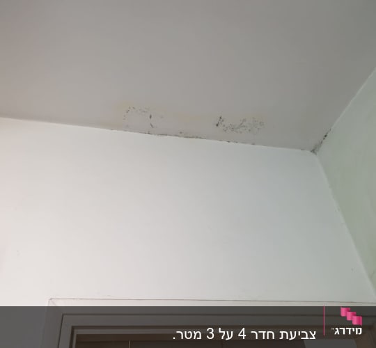 קיר עם סימני עובש ותקרה לבנה